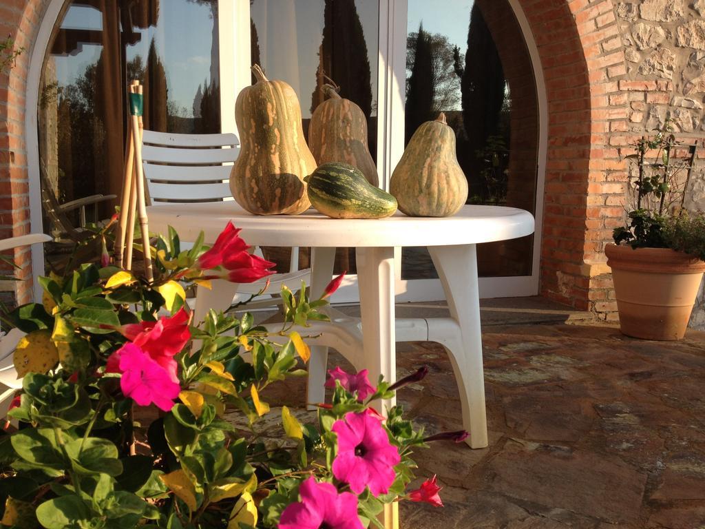 Podere Il Mulino Pieve di Santa Luce Buitenkant foto