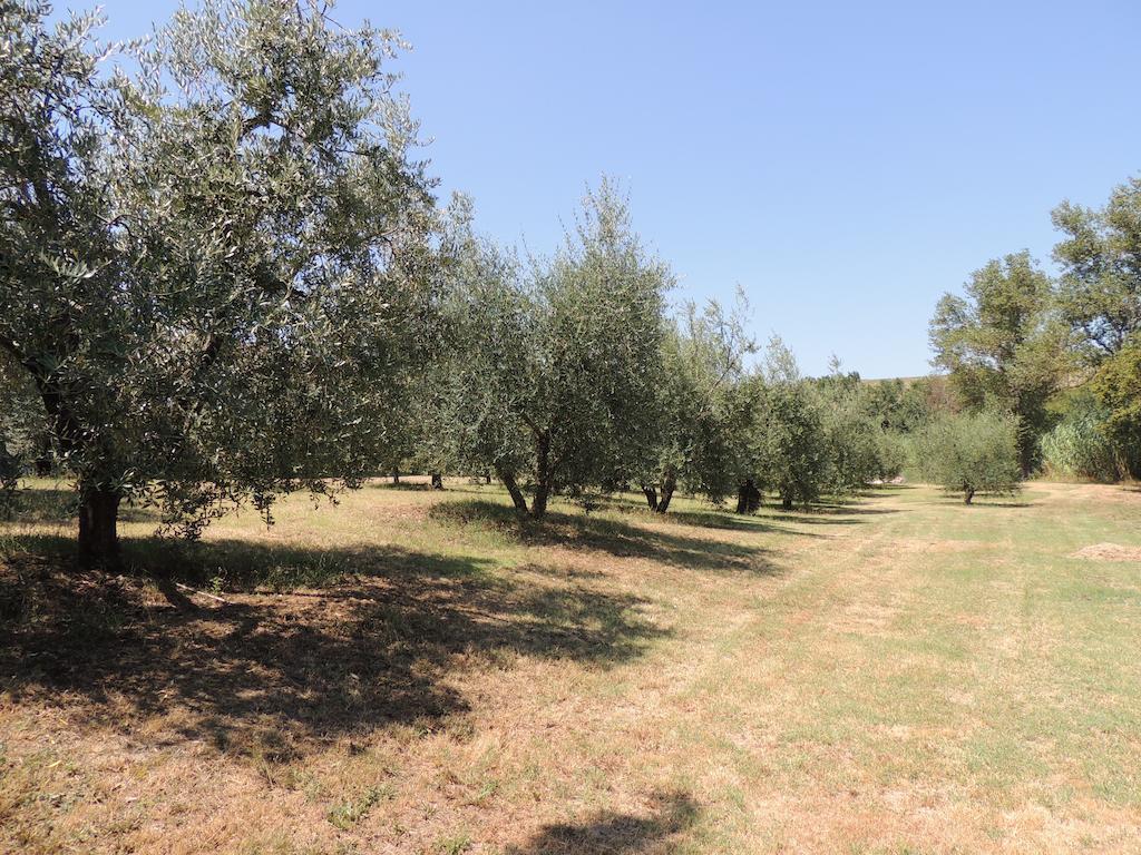 Podere Il Mulino Pieve di Santa Luce Buitenkant foto
